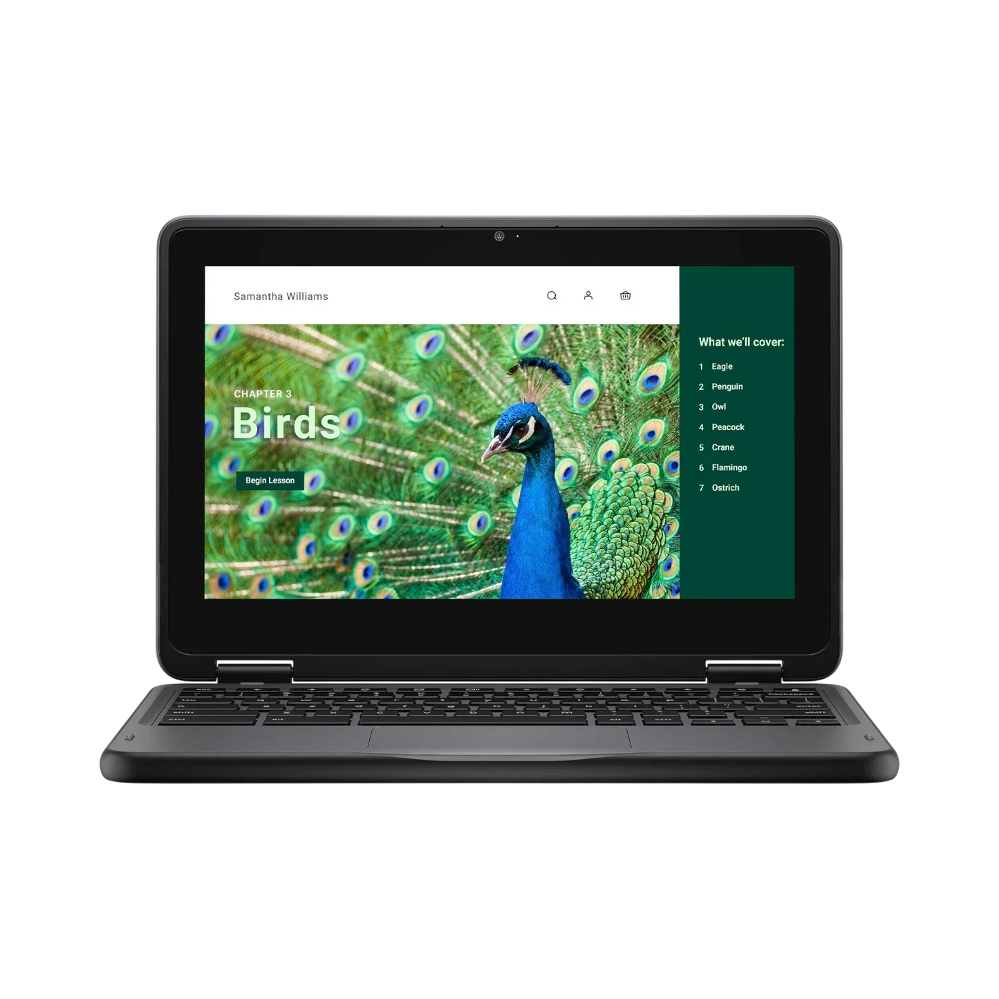 Dell 3120 11.6" Multi-Touch 2-in-1 Chromebook, Intel N100, 4GB RAM, 64GB eMMC