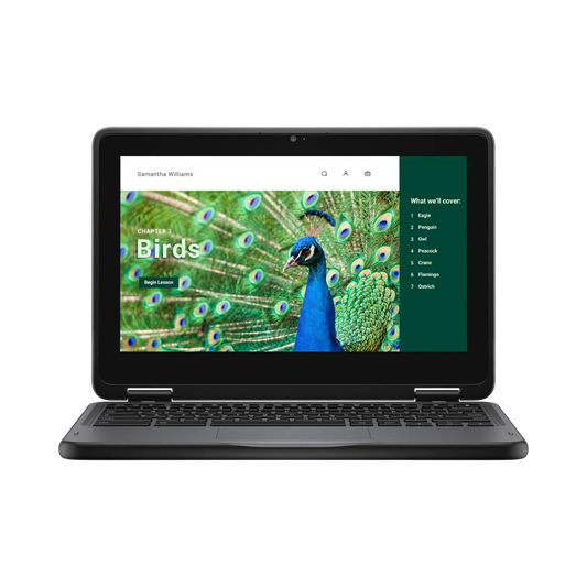 Dell 3120 11.6" Multi-Touch 2-in-1 Chromebook, Intel N100, 4GB RAM, 64GB eMMC