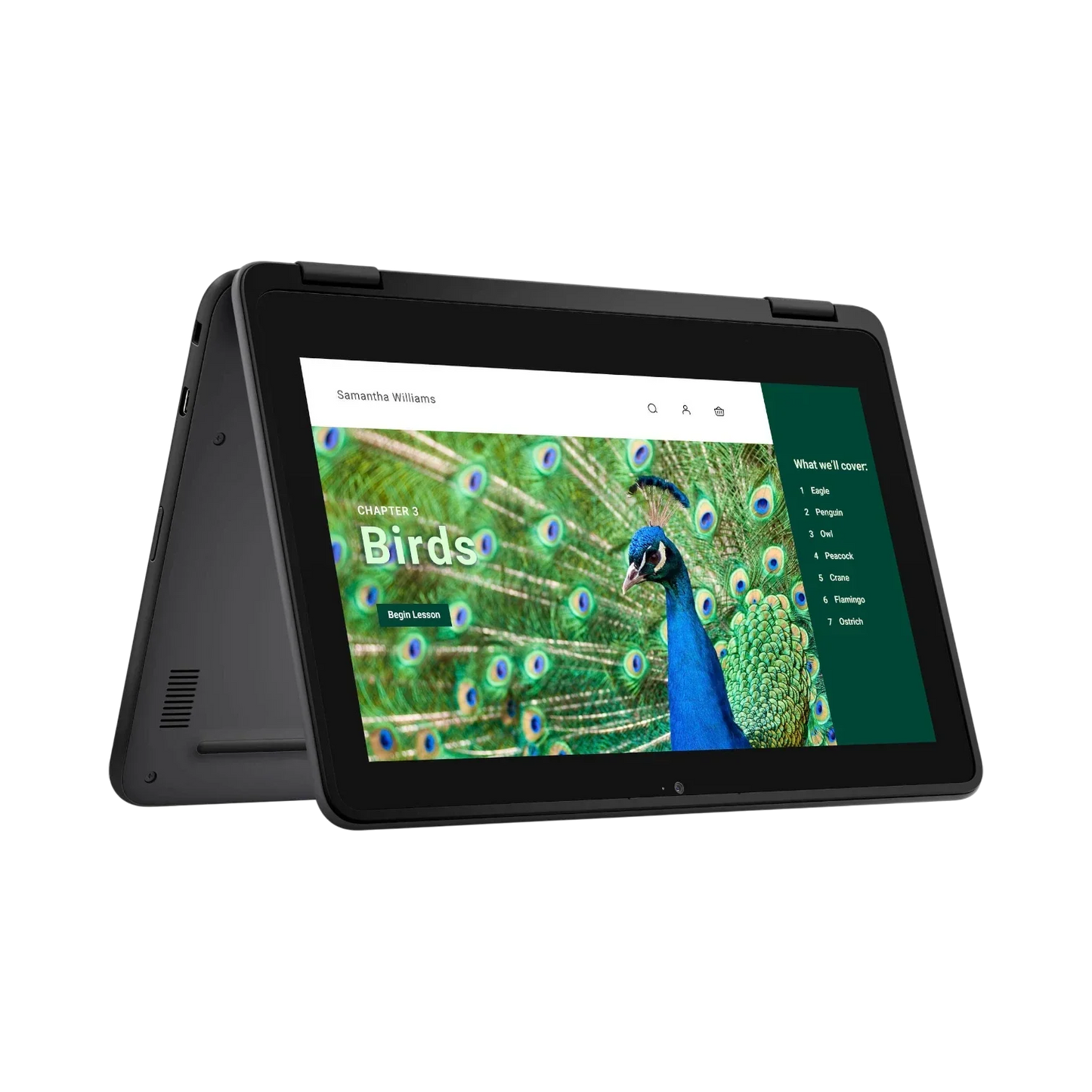 Dell 3120 11.6" Multi-Touch 2-in-1 Chromebook, Intel N100, 4GB RAM, 64GB eMMC