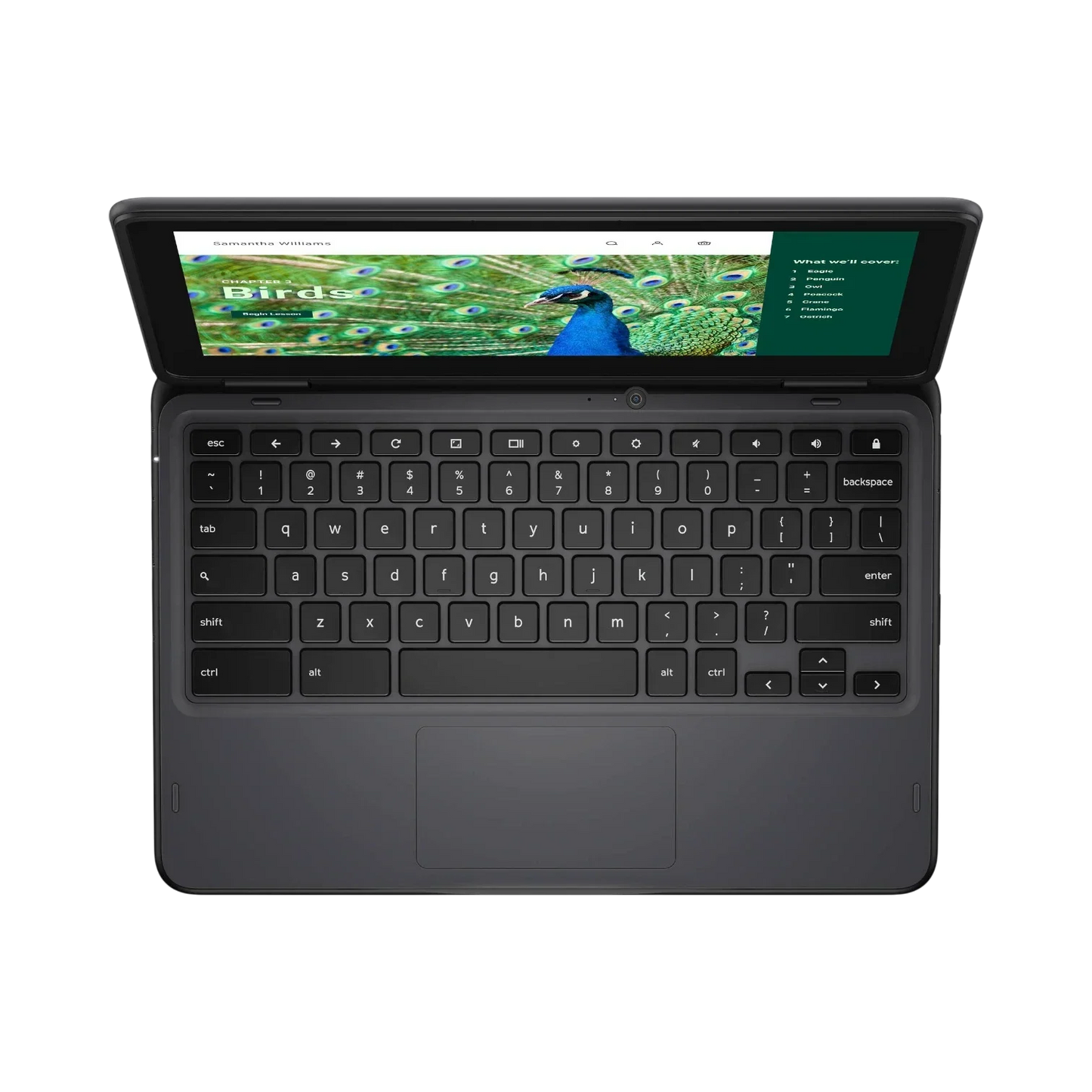 Dell 3120 11.6" Multi-Touch 2-in-1 Chromebook, Intel N100, 4GB RAM, 64GB eMMC