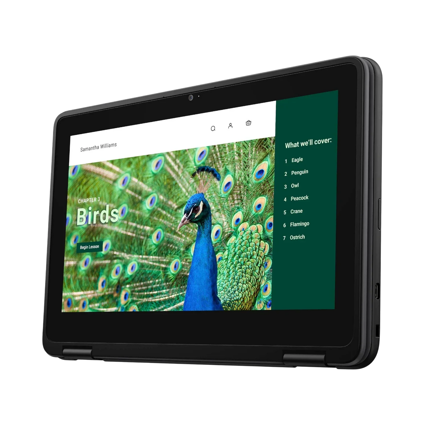 Dell 3120 11.6" Multi-Touch 2-in-1 Chromebook, Intel N100, 4GB RAM, 64GB eMMC