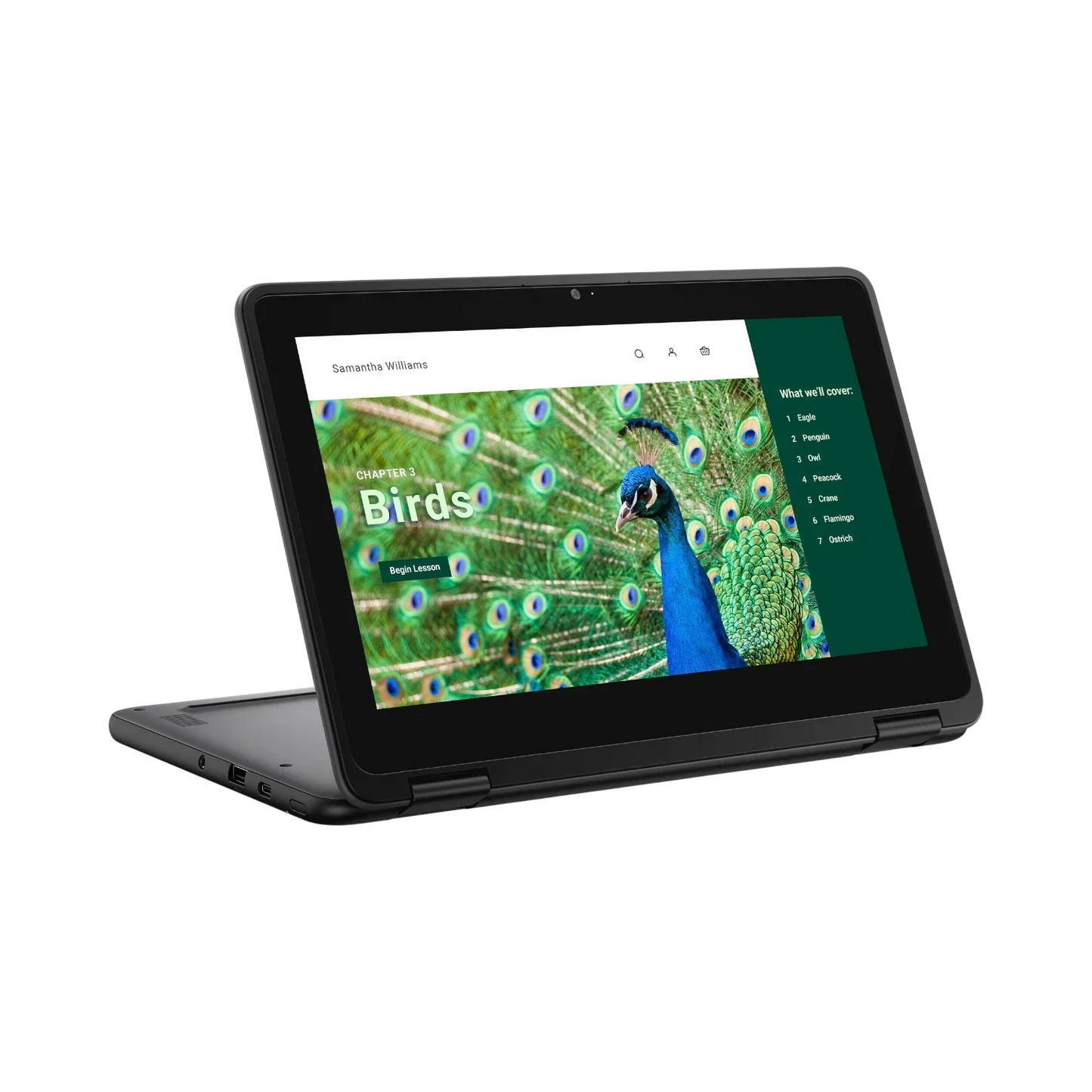 Dell 3120 11.6" Multi-Touch 2-in-1 Chromebook, Intel N100, 4GB RAM, 64GB eMMC