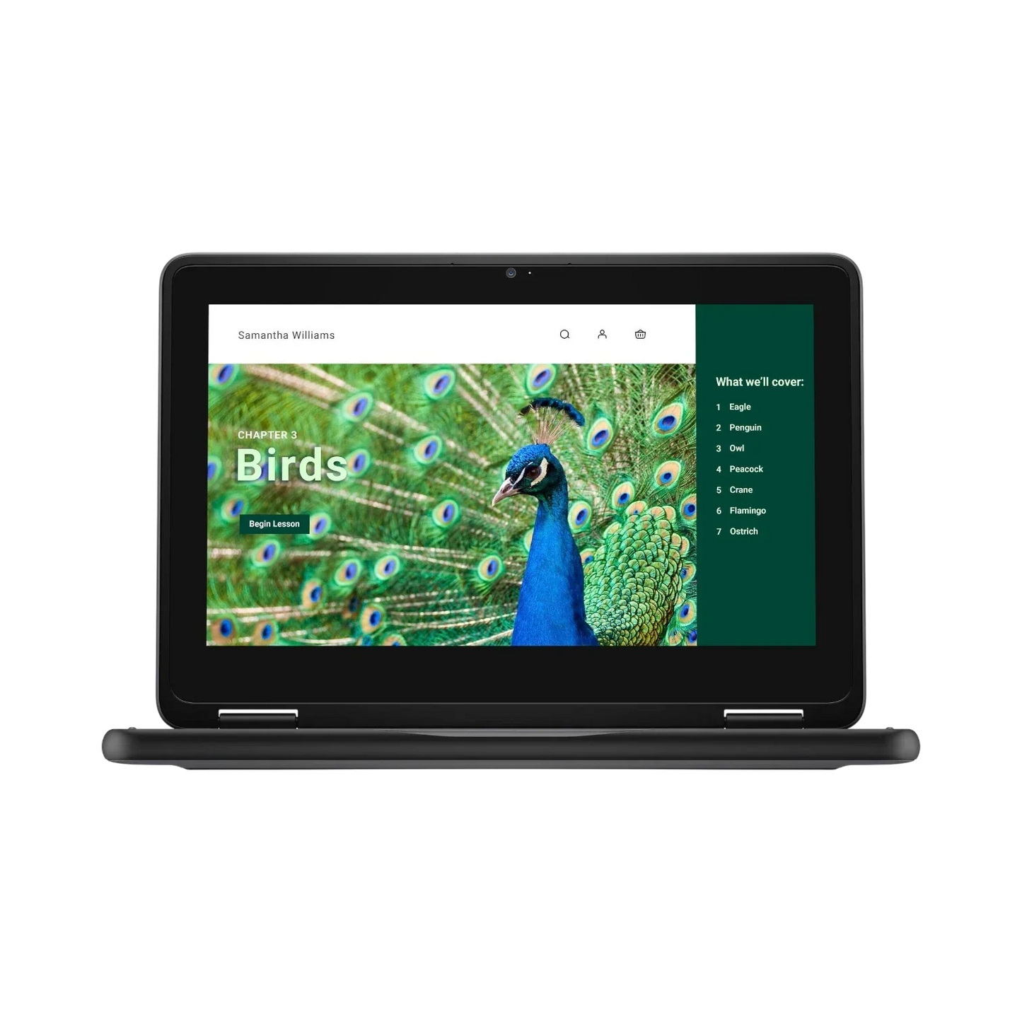 Dell 3120 11.6" Multi-Touch 2-in-1 Chromebook, Intel N100, 4GB RAM, 64GB eMMC