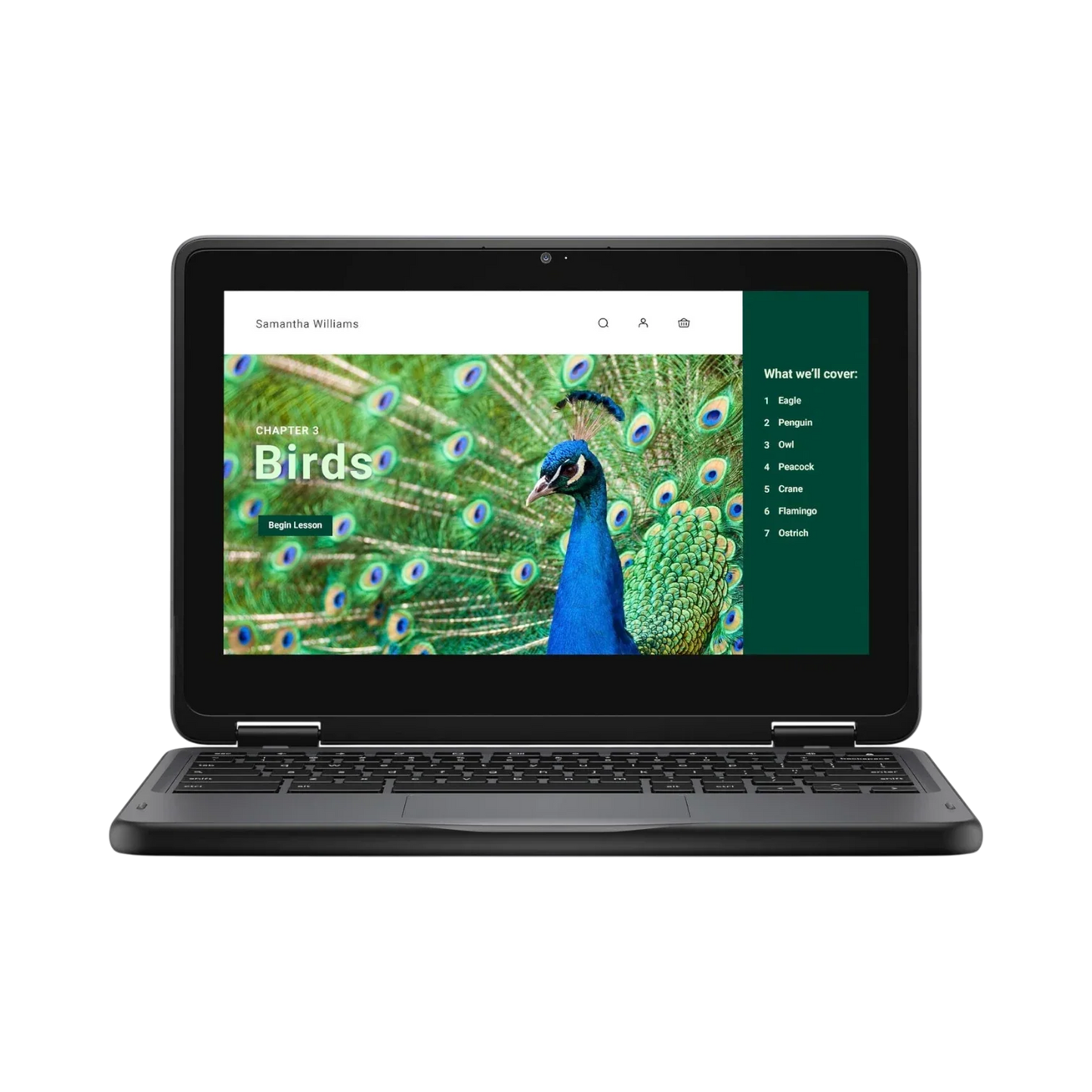 Dell 3120 11.6" Multi-Touch 2-in-1 Chromebook, Intel Celeron N100, 4GB RAM, 64GB eMMC