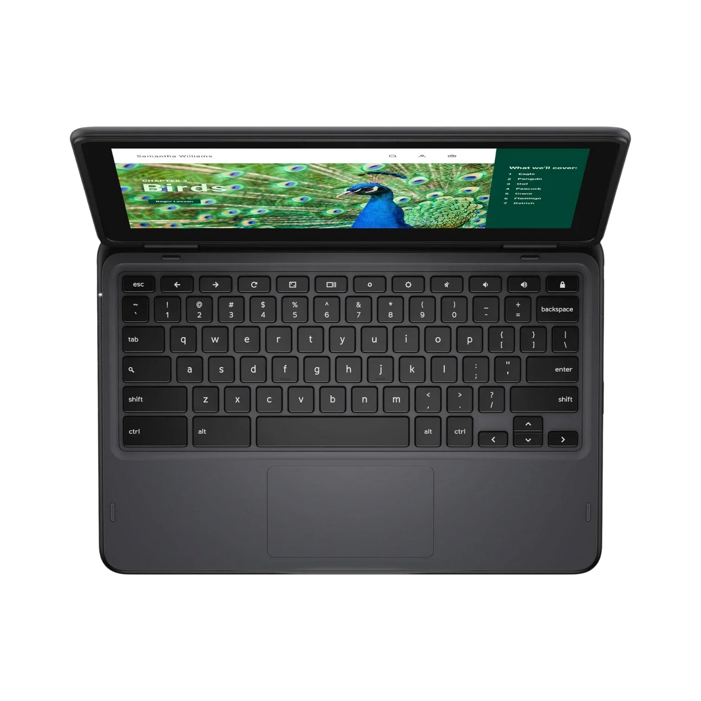 Dell 3120 11.6" Multi-Touch 2-in-1 Chromebook, Intel Celeron N100, 4GB RAM, 64GB eMMC