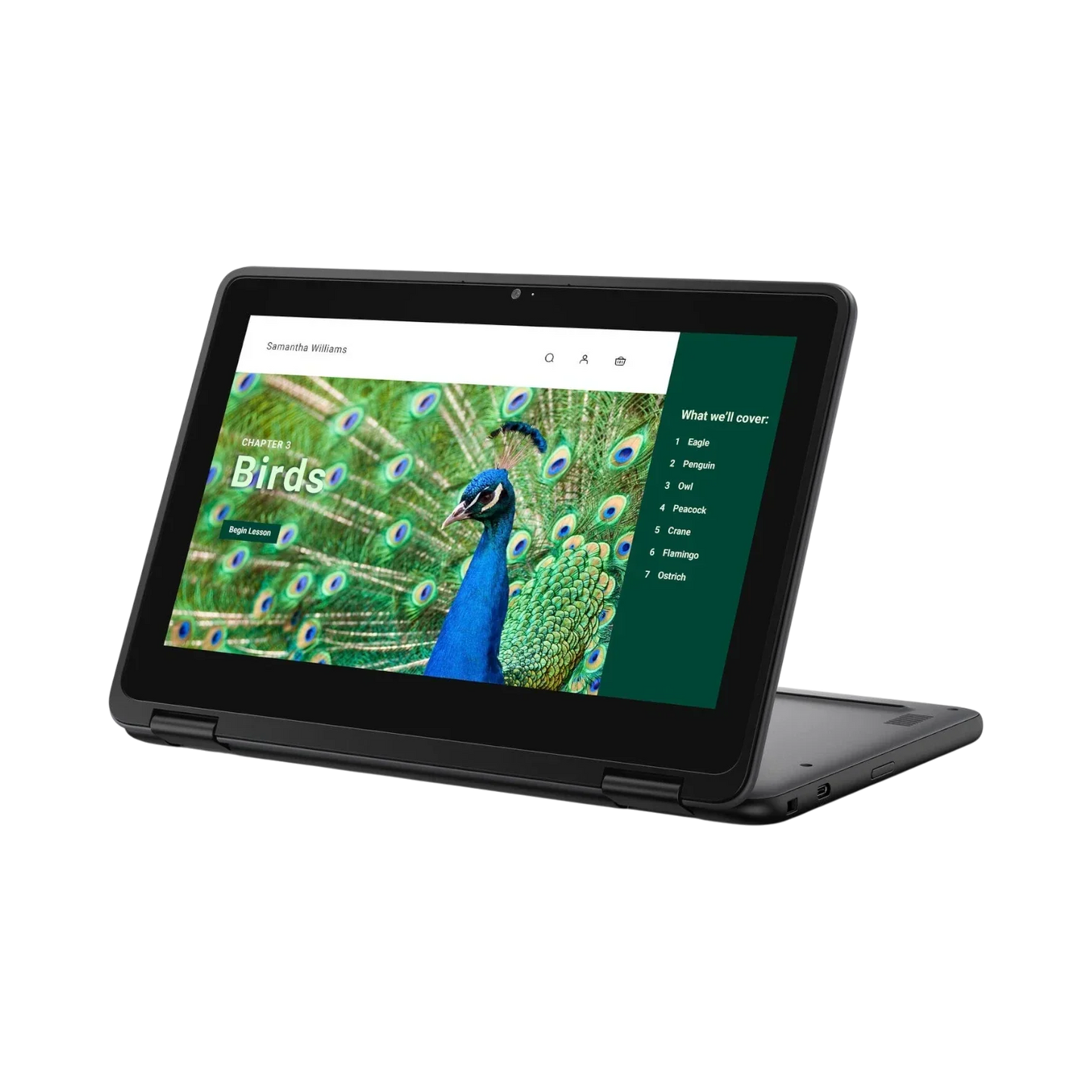 Dell 3120 11.6" Multi-Touch 2-in-1 Chromebook, Intel Celeron N100, 4GB RAM, 64GB eMMC