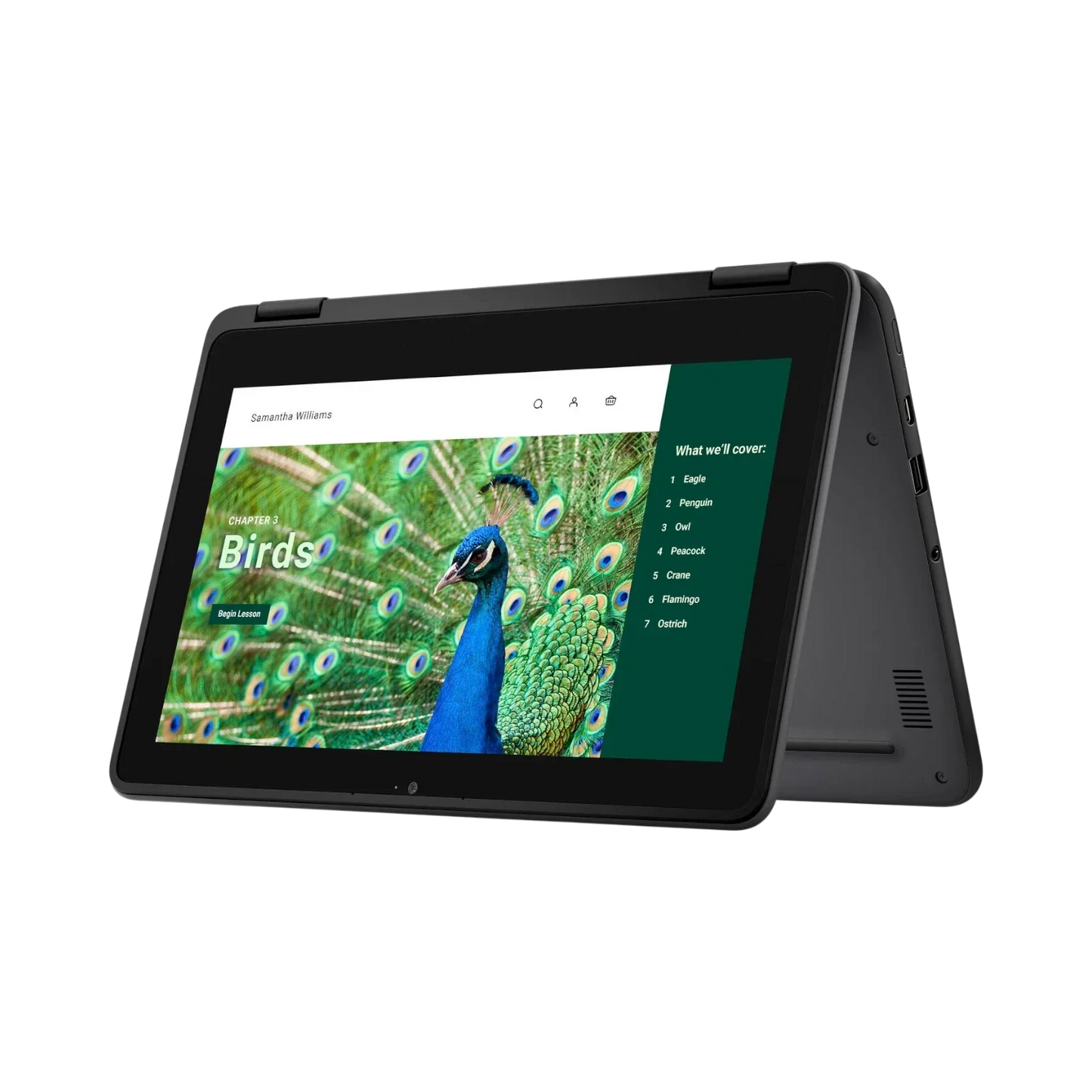Dell 3120 11.6" Multi-Touch 2-in-1 Chromebook, Intel Celeron N100, 4GB RAM, 64GB eMMC