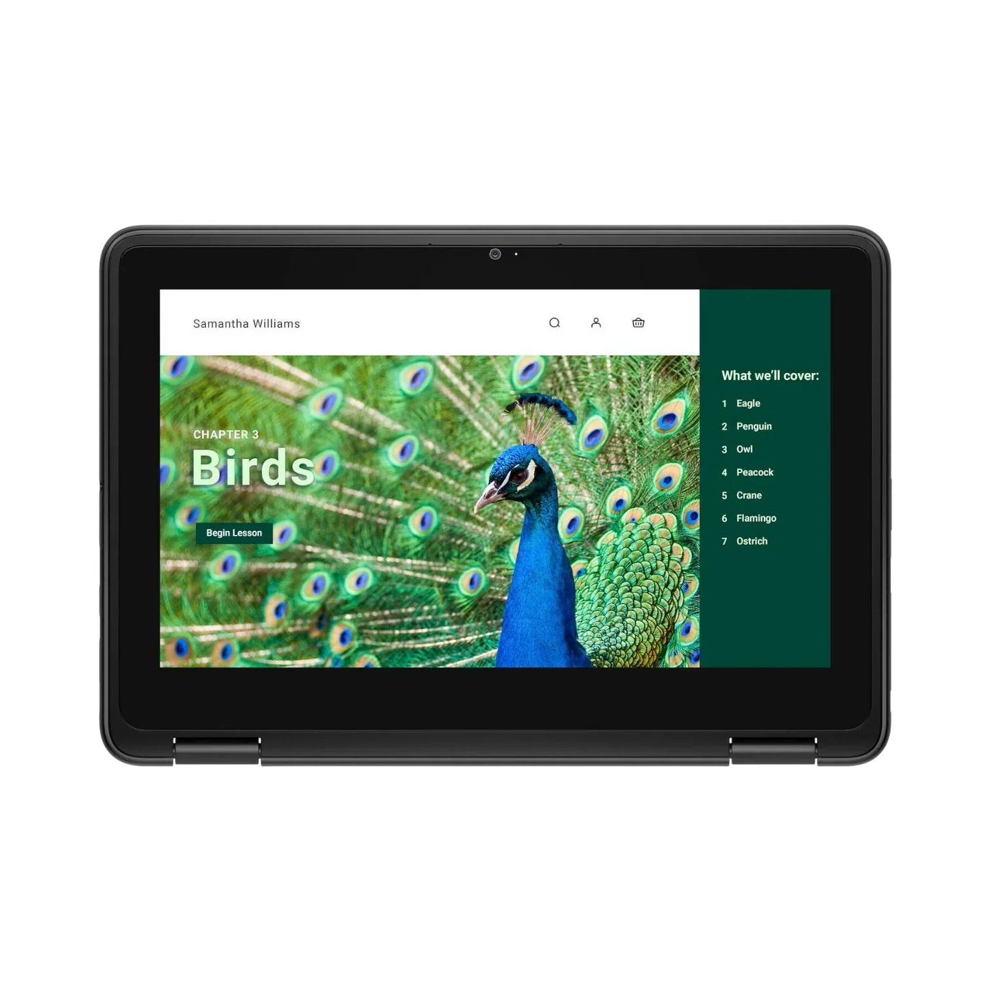 Dell 3120 11.6" Multi-Touch 2-in-1 Chromebook, Intel Celeron N100, 4GB RAM, 64GB eMMC