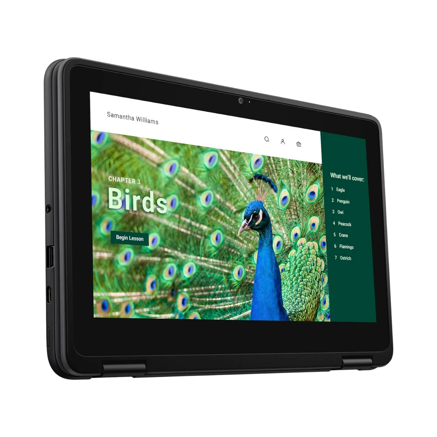 Dell 3120 11.6" Multi-Touch 2-in-1 Chromebook, Intel Celeron N100, 4GB RAM, 64GB eMMC