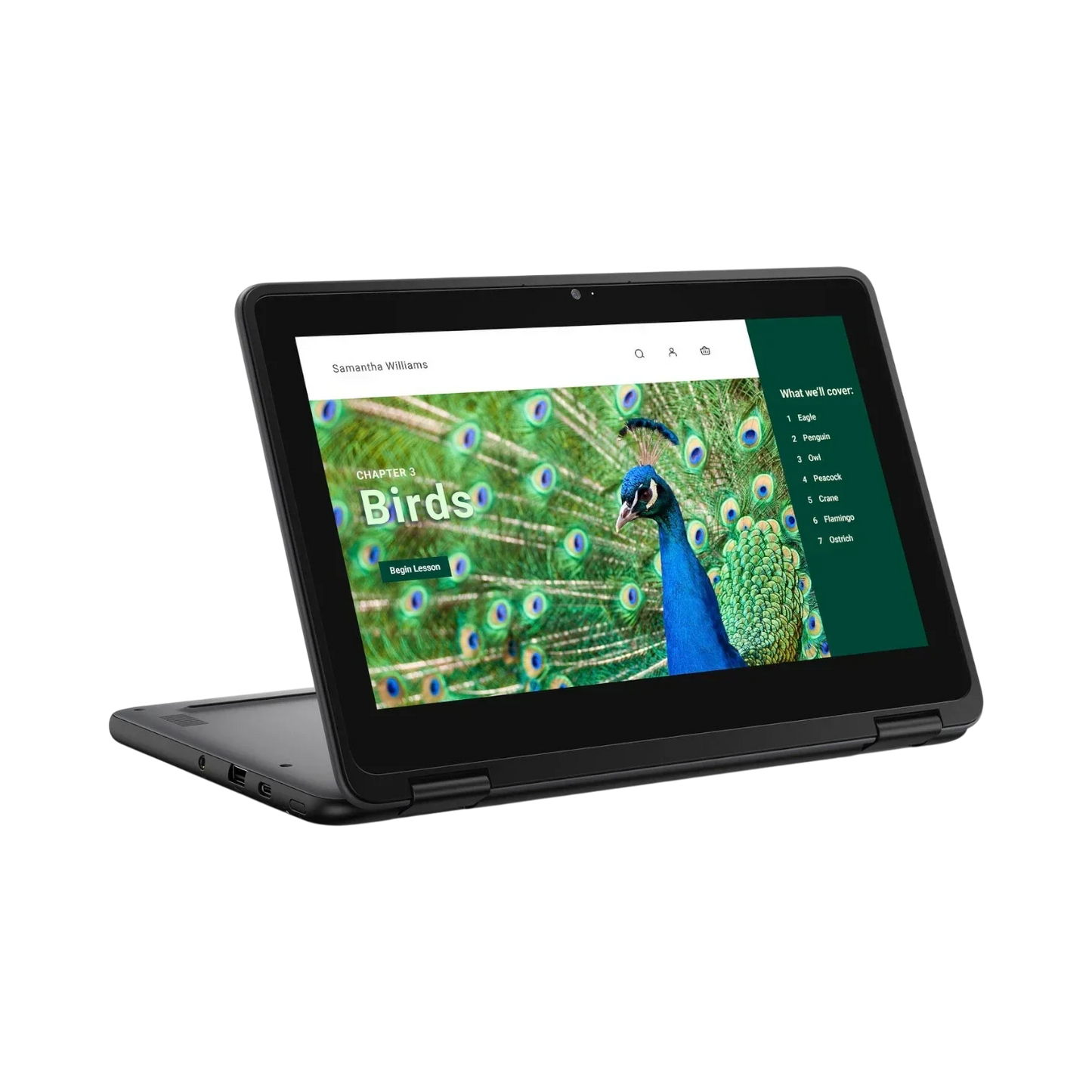 Dell 3120 11.6" Multi-Touch 2-in-1 Chromebook, Intel Celeron N100, 4GB RAM, 64GB eMMC