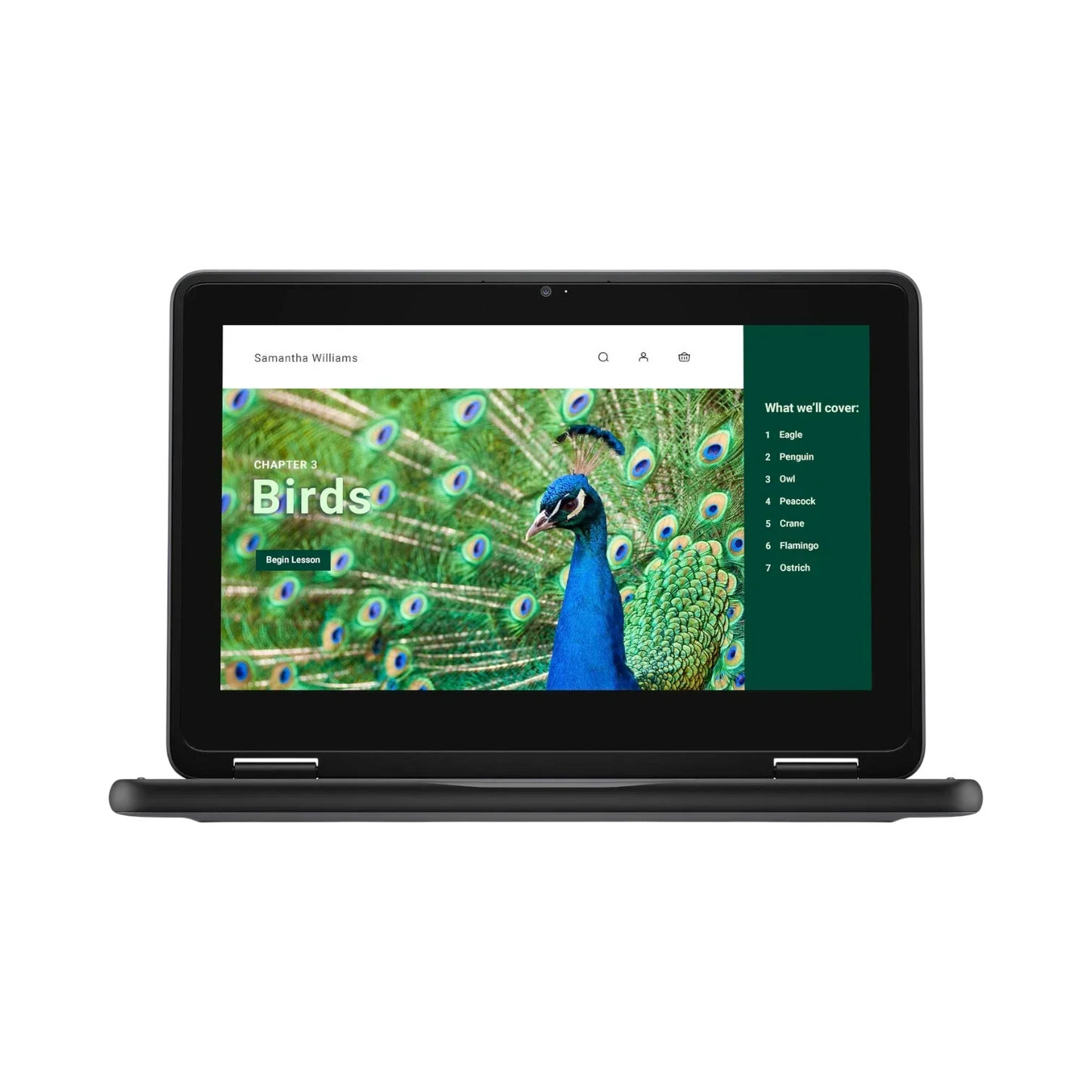 Dell 3120 11.6" Multi-Touch 2-in-1 Chromebook, Intel Celeron N100, 4GB RAM, 64GB eMMC