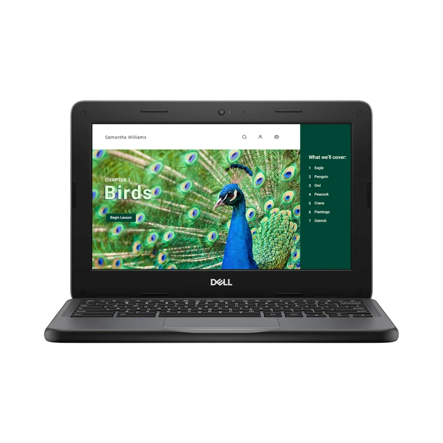 Dell 3120 11.6" Chromebook, Intel N100, 8GB RAM, 64GB eMMC