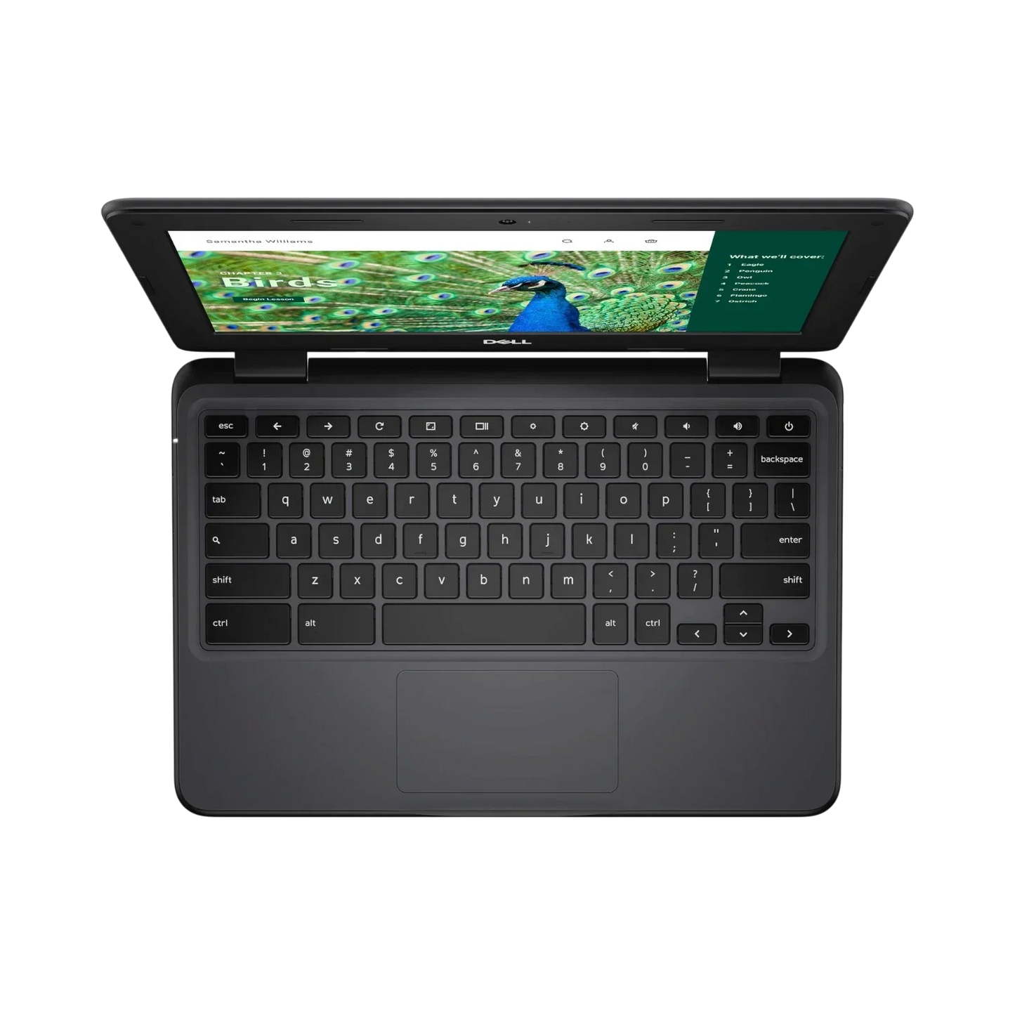 Dell 3120 11.6" Chromebook, Intel N100, 8GB RAM, 64GB eMMC