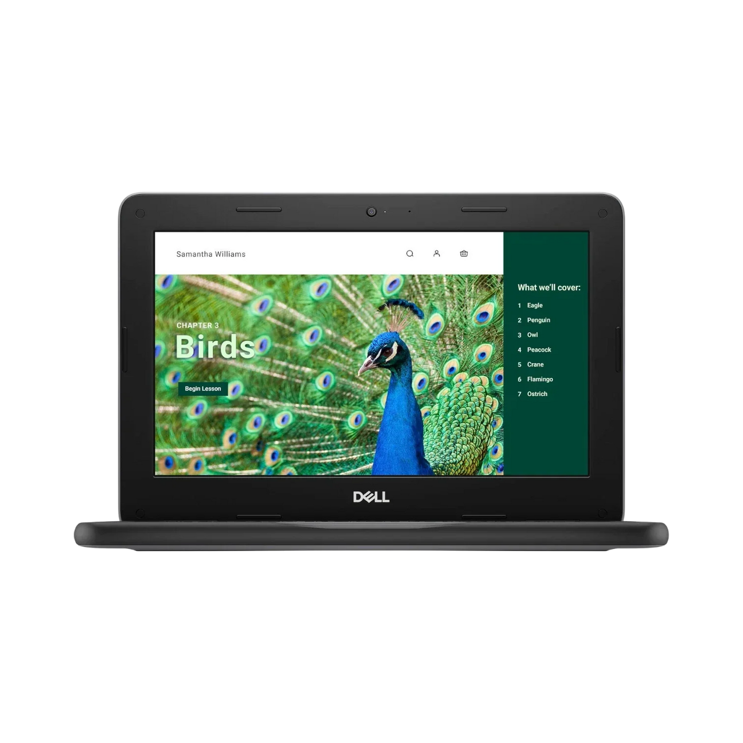 Dell 3120 11.6" Chromebook, Intel N100, 8GB RAM, 64GB eMMC