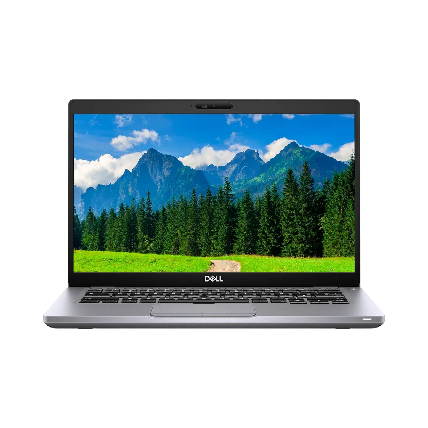 Dell Latitude 5410 14" Laptop, Intel Core i5-10210U, 8GB DDR4 RAM, 256GB SSD (Silver)