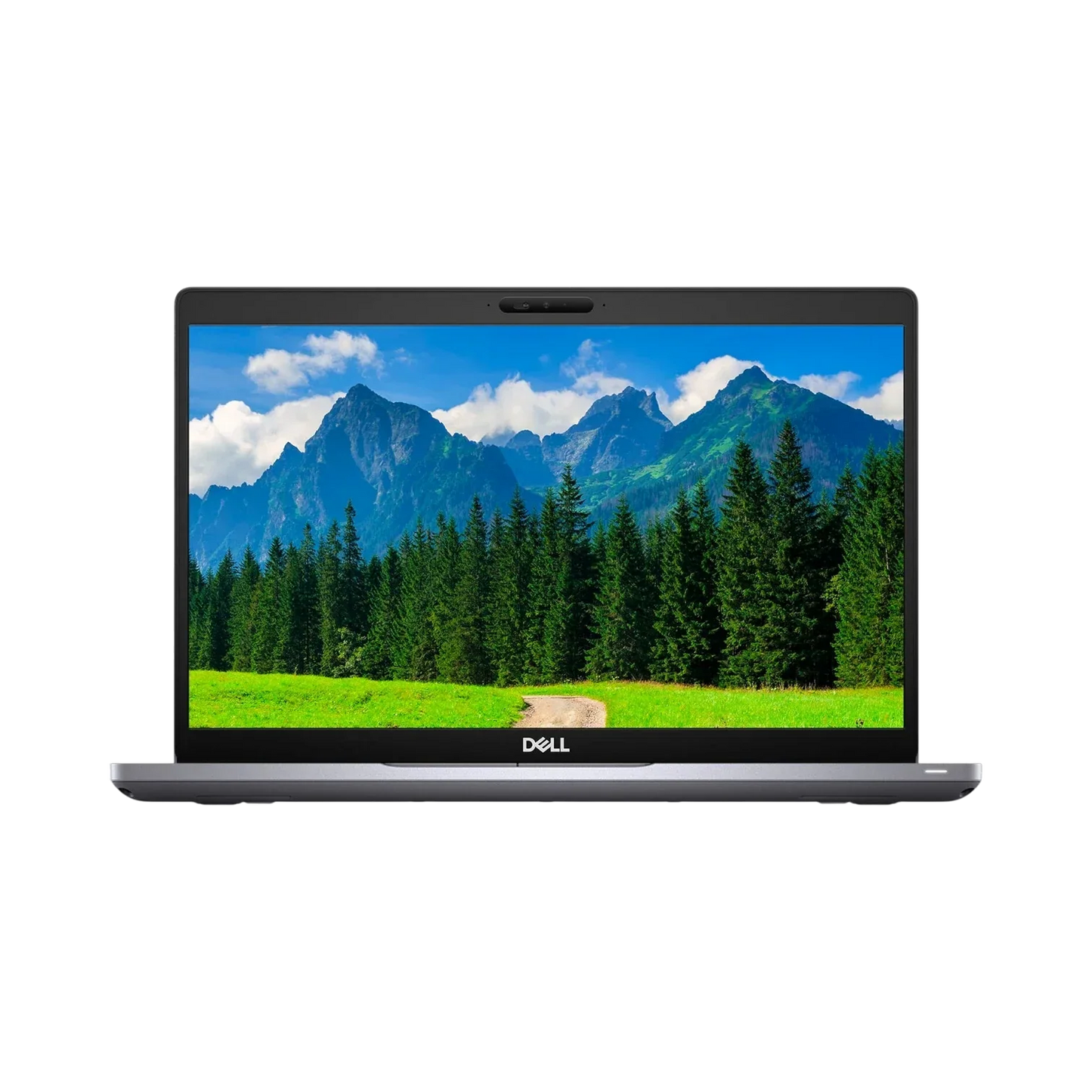 Dell Latitude 5410 14" Laptop, Intel Core i7-10610U, 16GB DDR4 RAM, 256GB SSD (Silver)