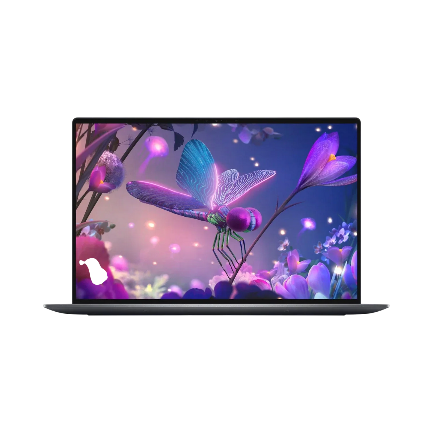 Dell XPS 13 Plus 9320 13.4" Laptop, Intel Core i7-1260P, 32GB RAM, 1TB SSD (Black)