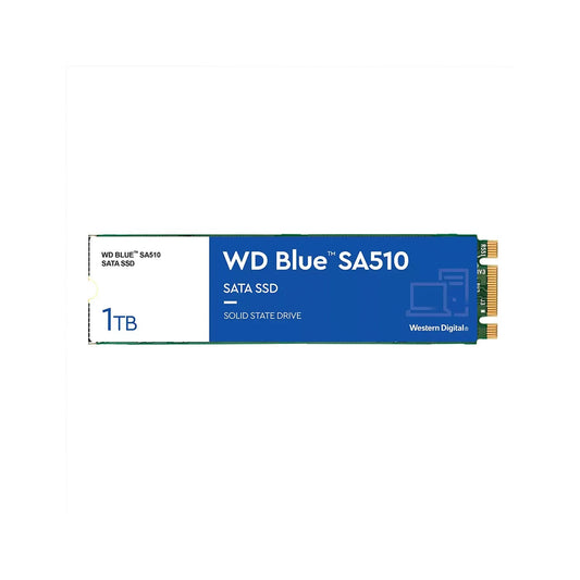 Western Digital Blue SA510 Internal Solid State Drive - 1TB SSD - SATA III - M.2 2280 (WDS100T3B0B)